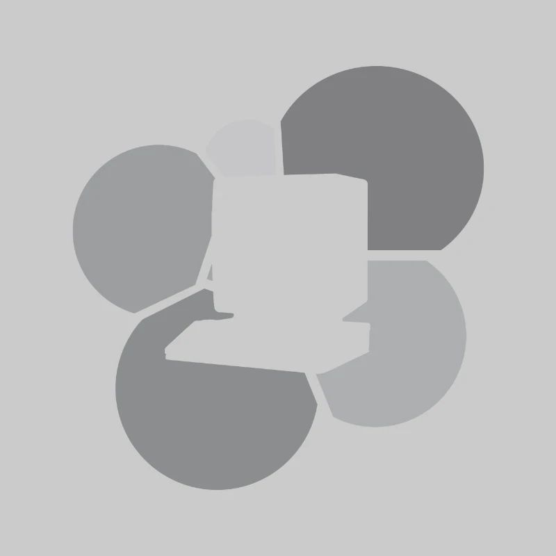 Computerarbeit Internet Internet