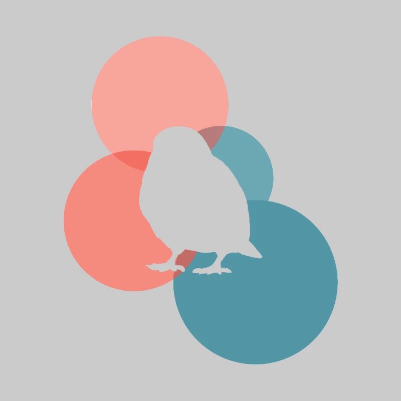 Vogel Vogel Abbildung Vogel Abbildung