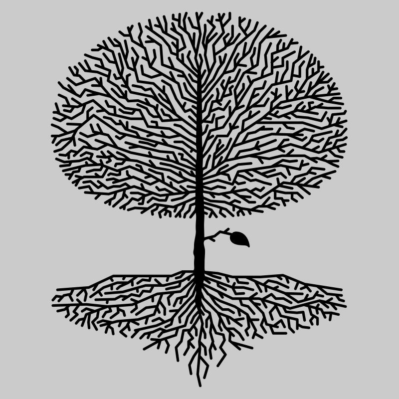 Deciduous Tree Crown Branches Forest Oaks Beech Nature Climate