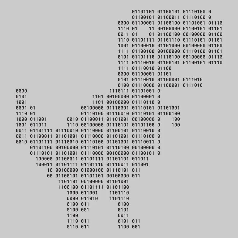 Dinosaur Binary | Google dinosaur | 404 | T-rex |