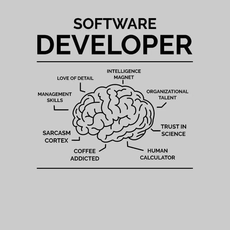 Software Developer