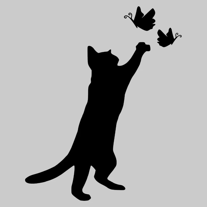 chat chat chat jouer chatte mignon chat bébé chat