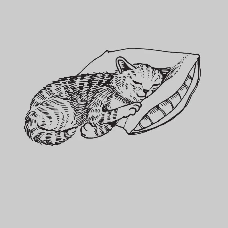 Cat sleeping pillow