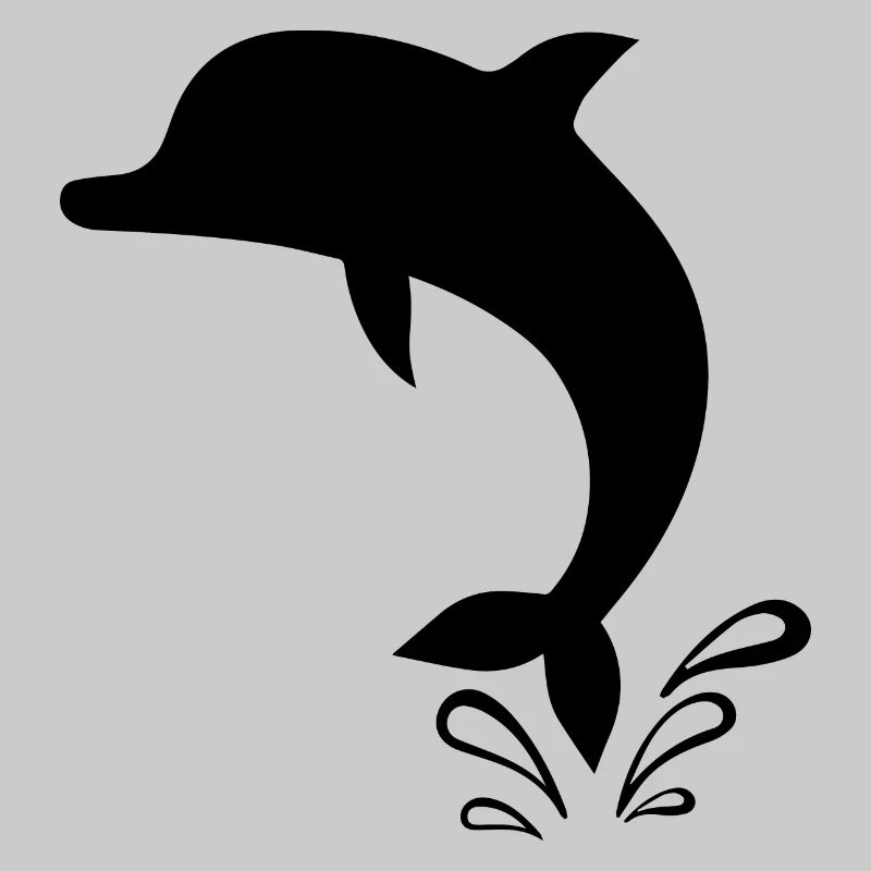 Dauphins de Dolphin