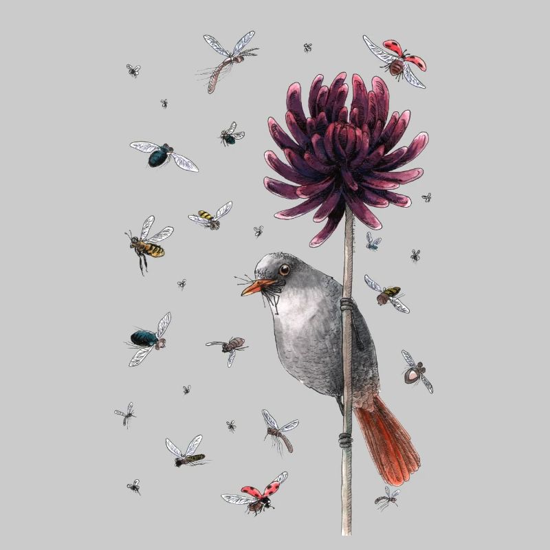 Vogel & Fliege