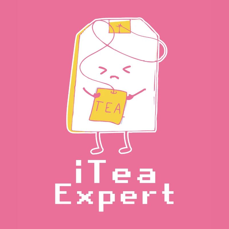 Itea Expert Admin Programmeur de logiciels informatiques