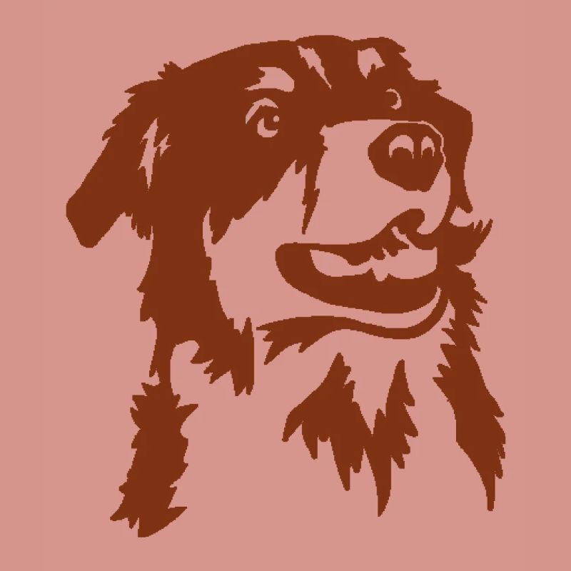 Australian Shepherd