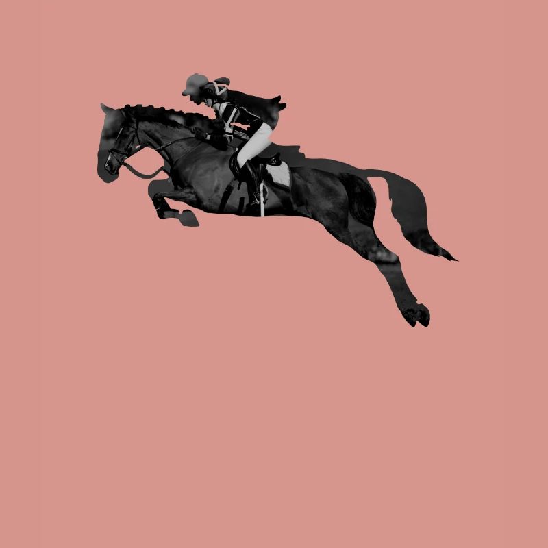 Springreiterin Springpferd Springreiten