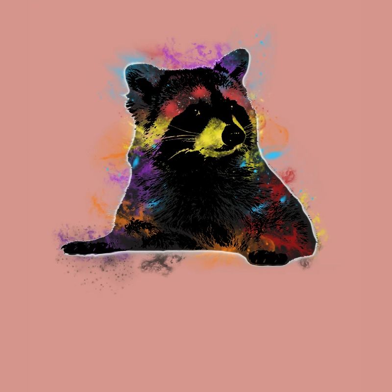 racoon