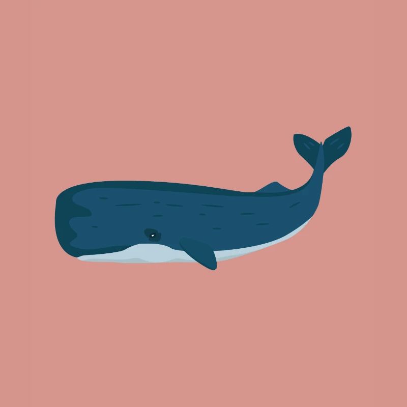 Physeter macrocephalus sperm whale whale gift
