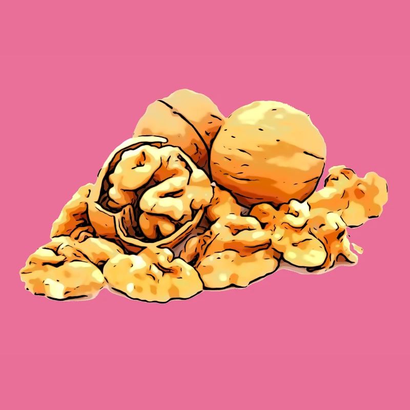 Walnuts walnut image graphic symbol