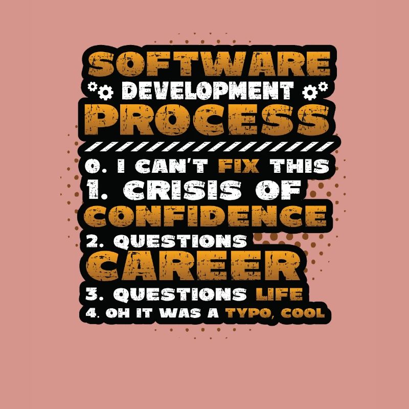 Software Development Process, Programming