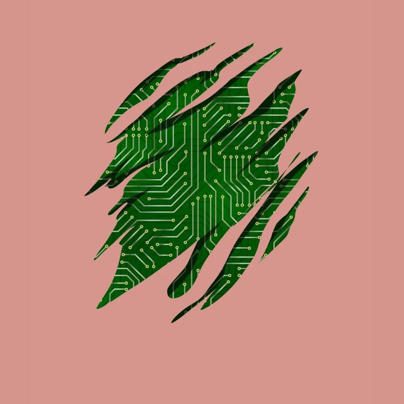 Programmeur Codeur développeur