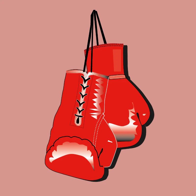 boxhandschuhe