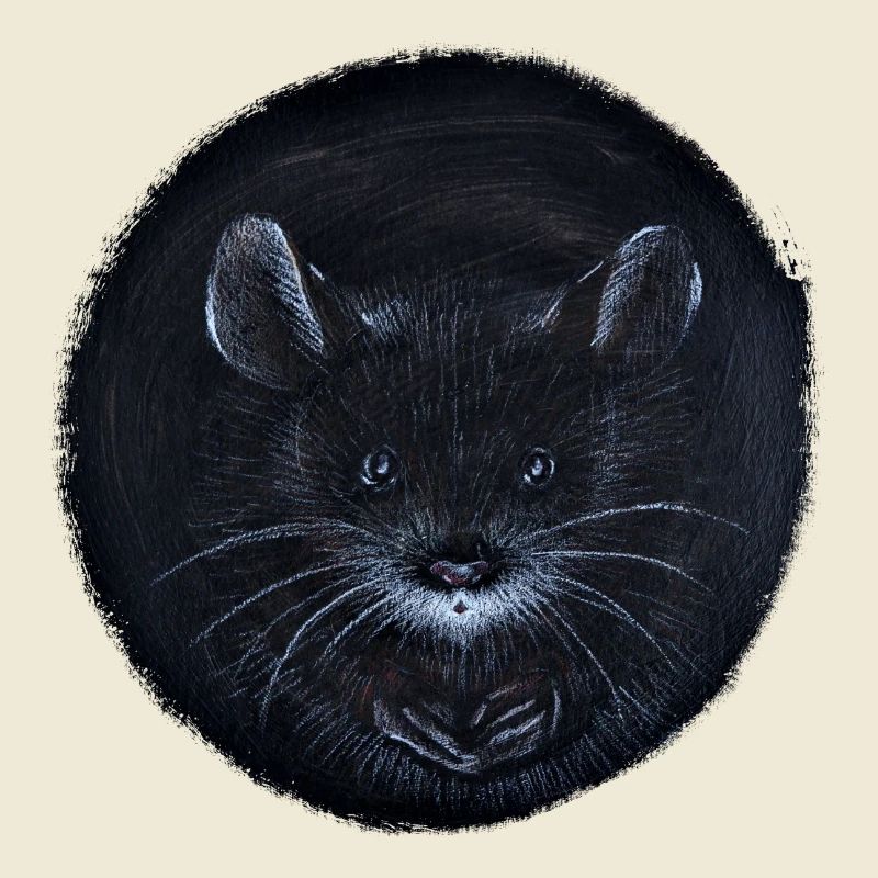 I see you - Maus