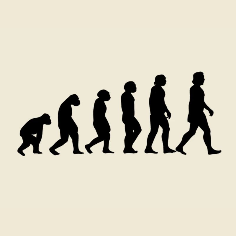 Evolution monkey to man