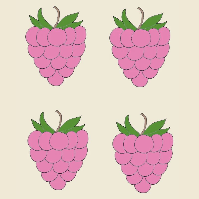 Raspberry Double Cluster Pattern