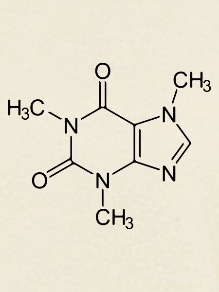 Koffein 