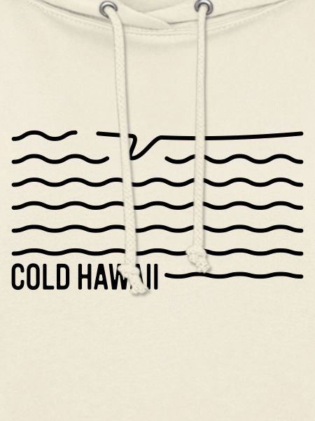 Cold Hawaii Surfboard
