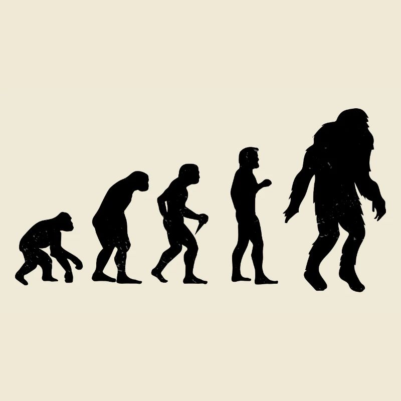 Bigfoot Sasquatch Cache-cache Dictons