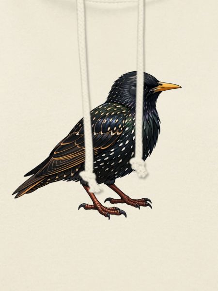 Star Vogel 