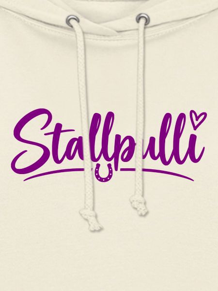 Stallpulli - Pferd - Reiterin - Stall - Pullover