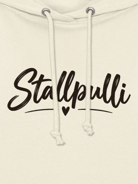 Stallpulli - Pferd - Reiterin - Stall - Pullover