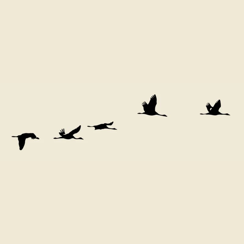 Oiseaux migrateurs Oiseaux