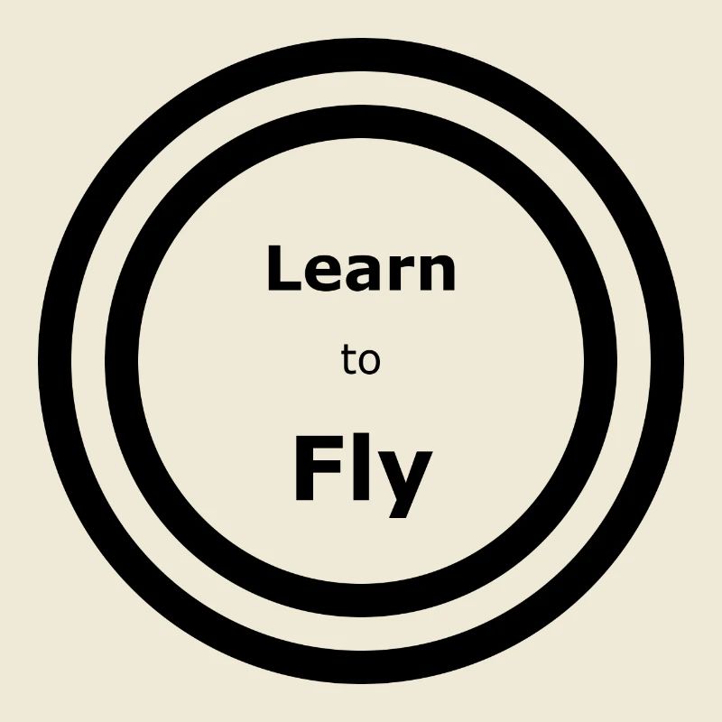 Learn to Fly - Songtext