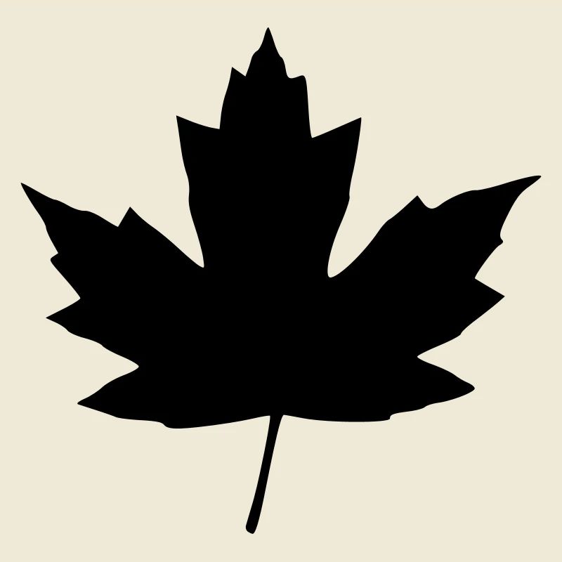 feuille d'érable