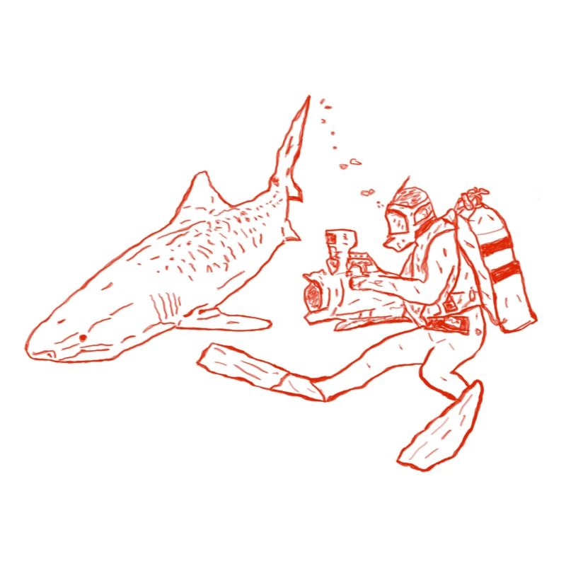 Shark with camera diver