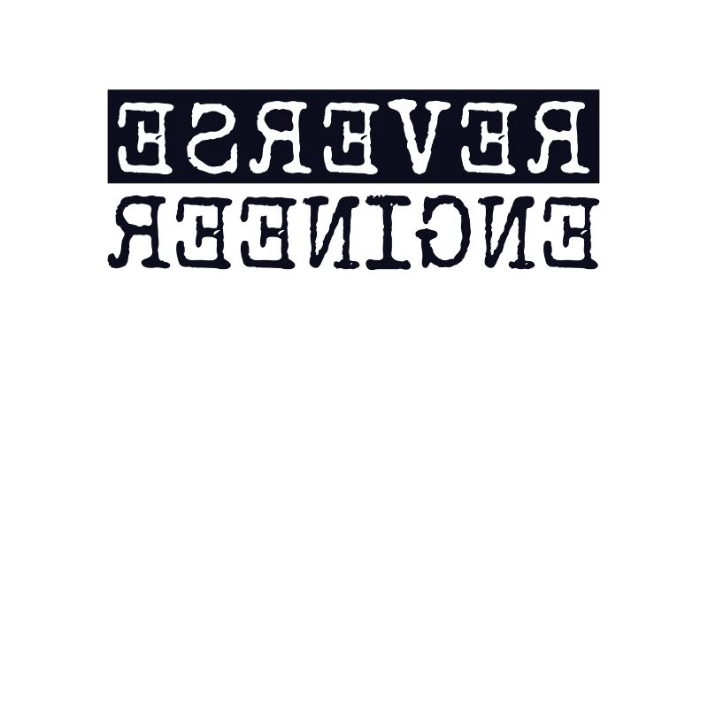 Reverse Engineer Softwareingenieur Developer
