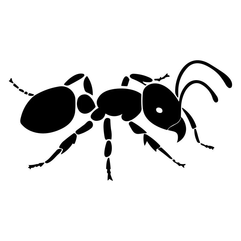ant