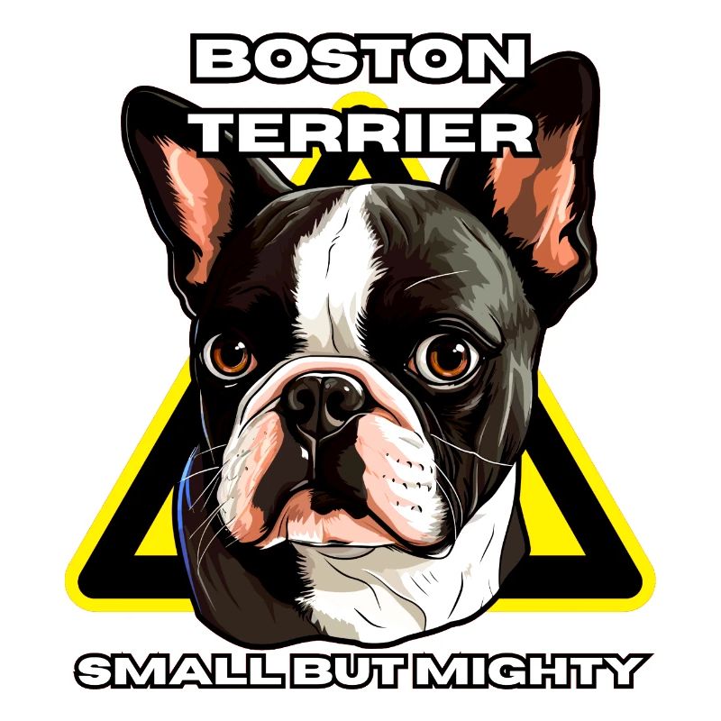 Camisa Boston Terrier Pequeño pero poderoso
