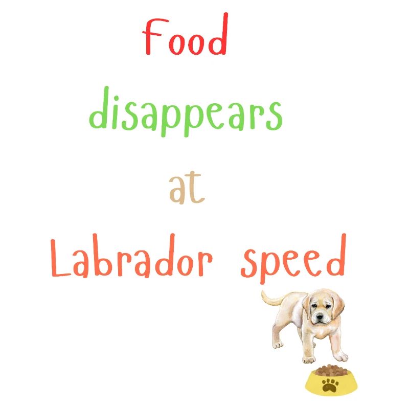 Labrador Essen Verschwinden Verspieltes Design