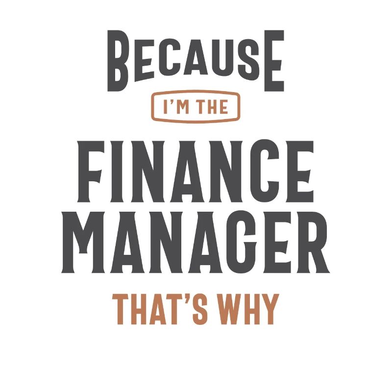 Beruf des Finanzmanagers
