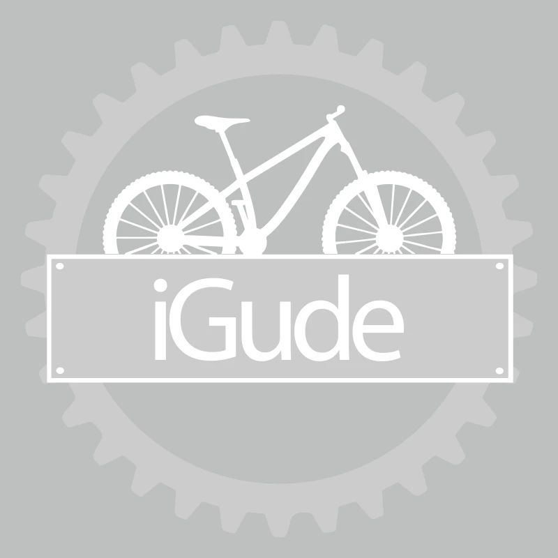 iGude Zahnrad MTB hell