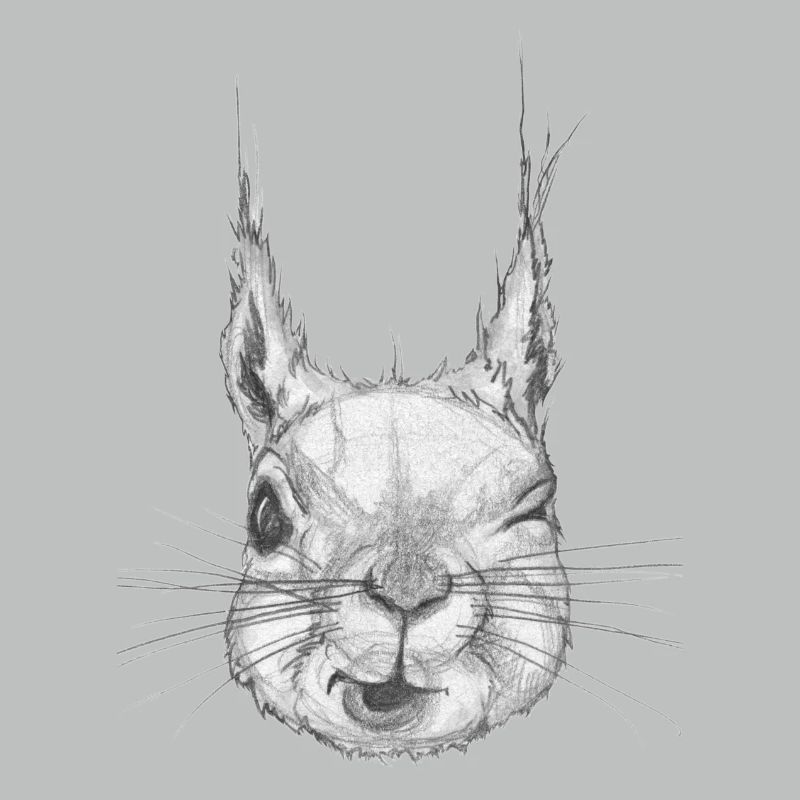 Fini the Squirrel