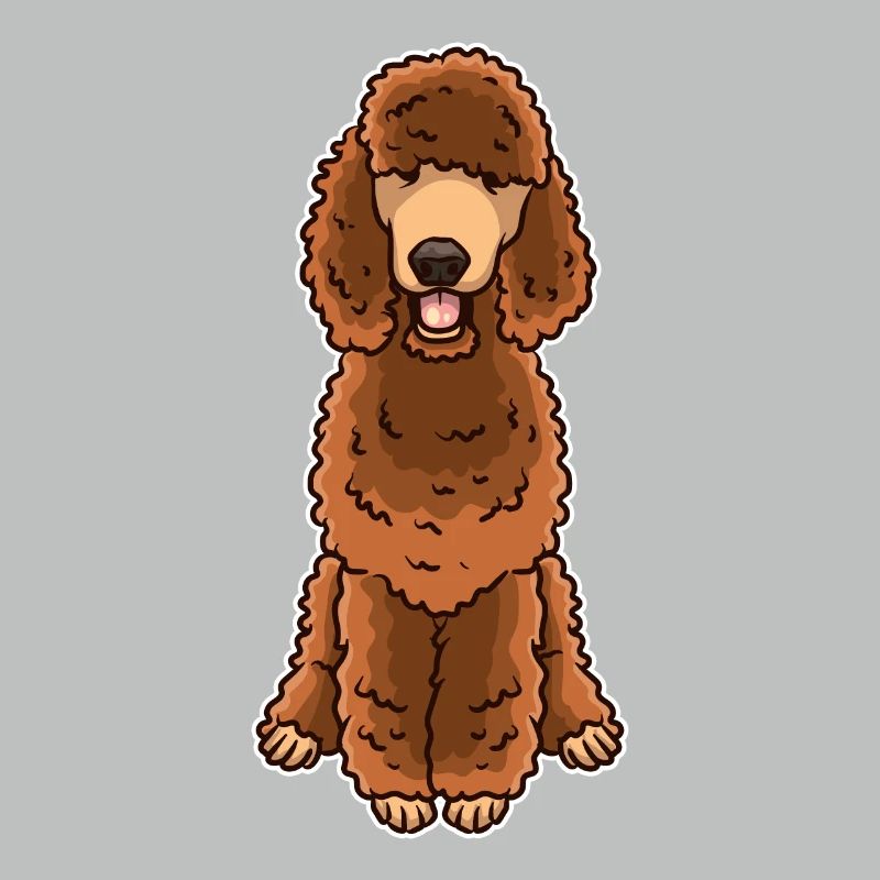 Caniche brun