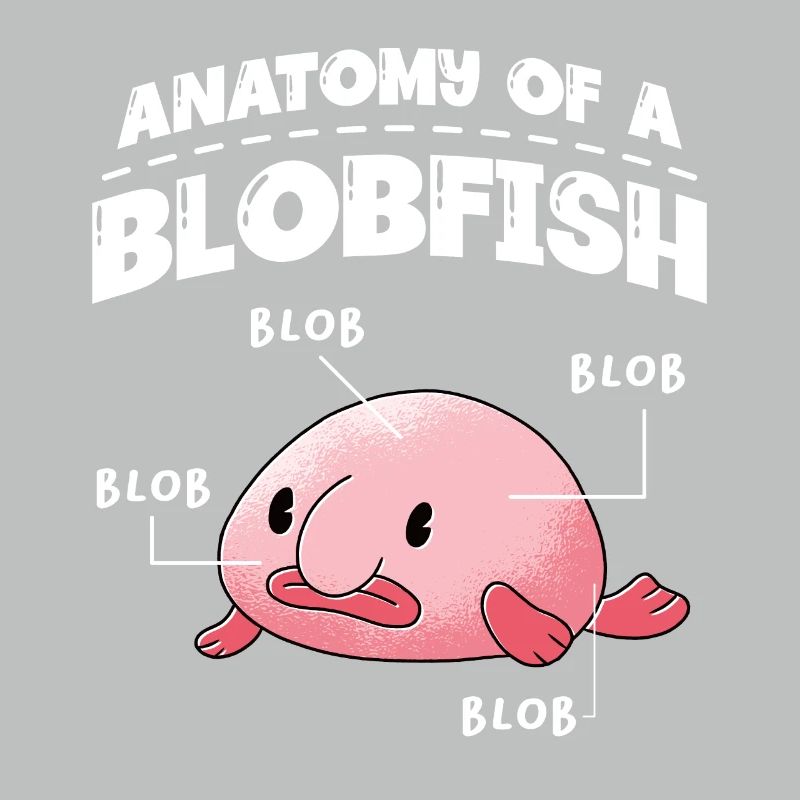 Anatomie Eines