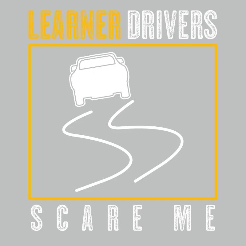 Driving Instructor Learner Driver