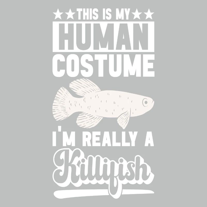 Killifish Quarium Fish