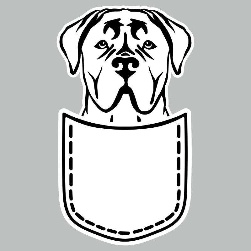 Cane Corso