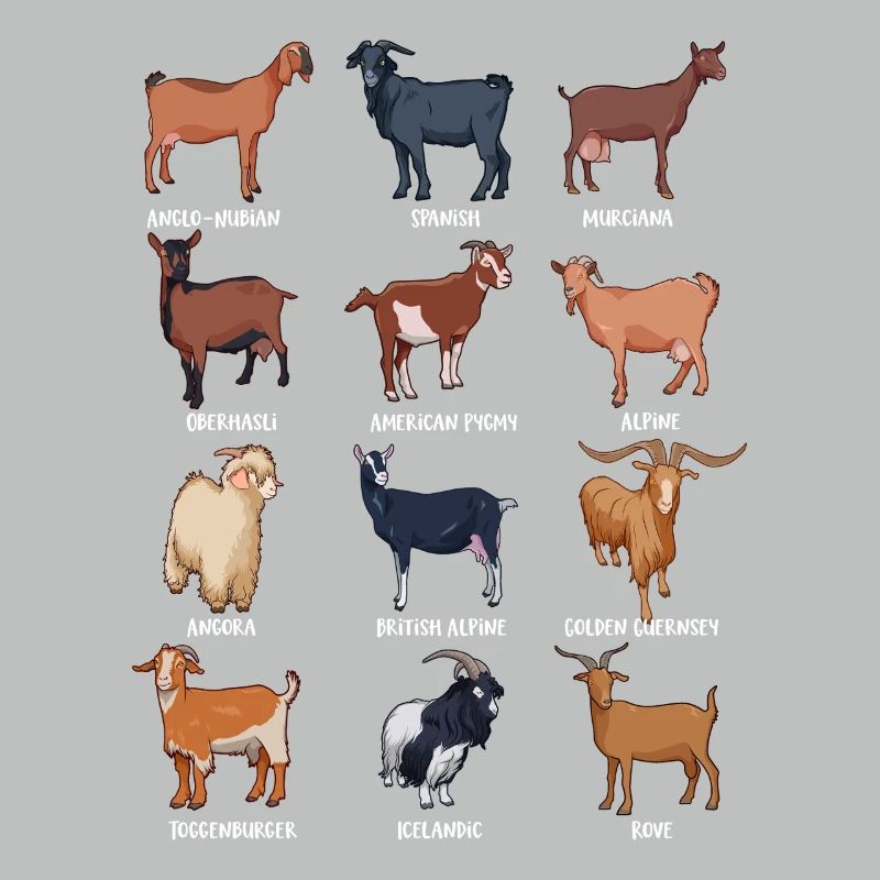 Assorted Kawaii Goats