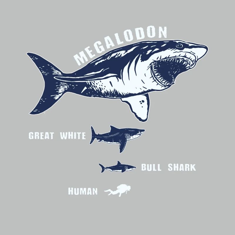 Requin requin de requin de megalodon requin blanc plongeur