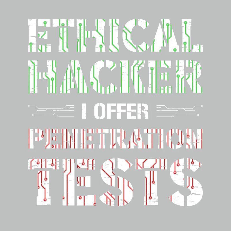 Développeur Web Computer Security Hacker