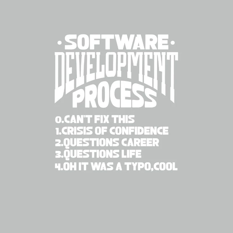 Softwareentwickler Programmierer Software