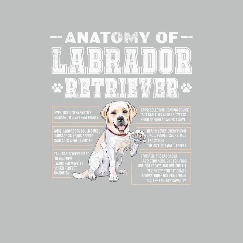 Labrador