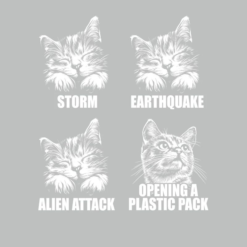 Chat - perception sélective - dire