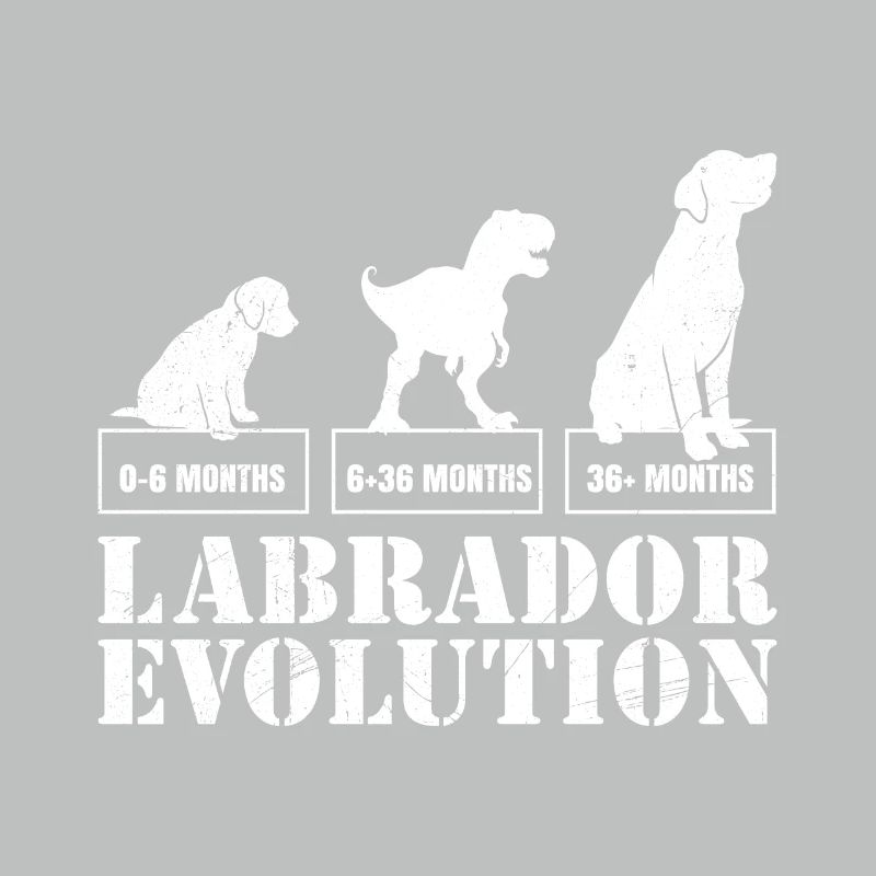 Labrador EVOLUTION Labrador Lover Drôle
